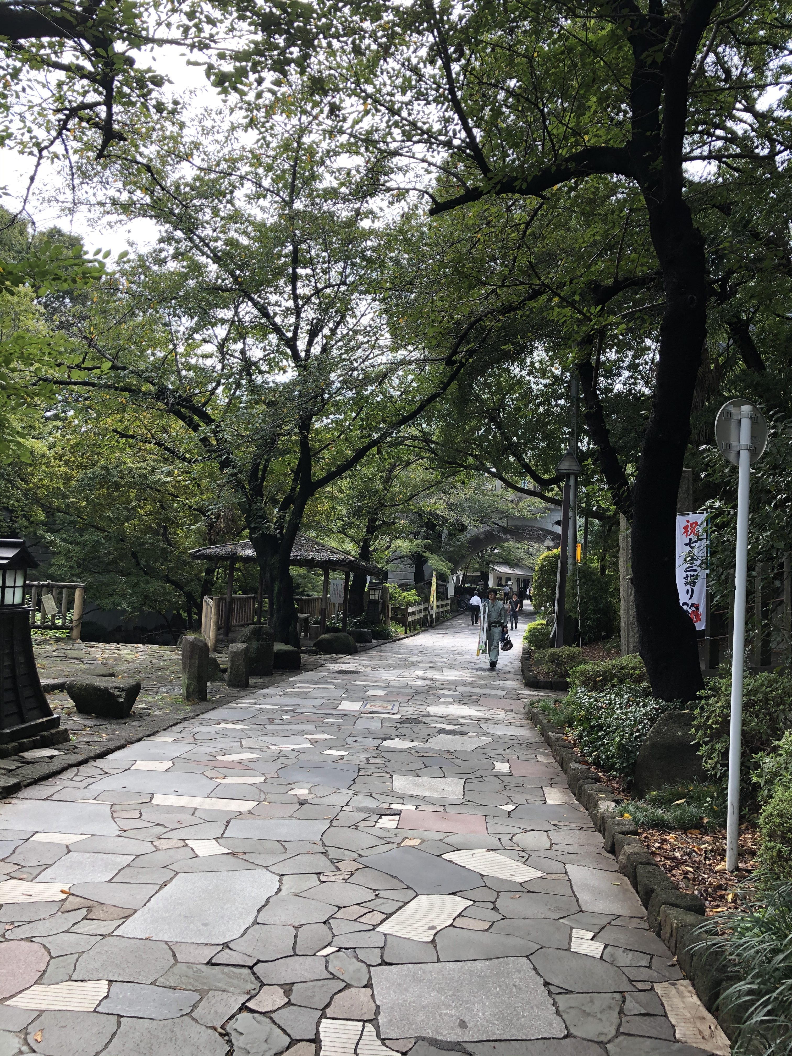 順天中学・高等学校に行って来ました。